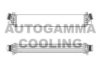 AUTOGAMMA 105640 Intercooler, charger